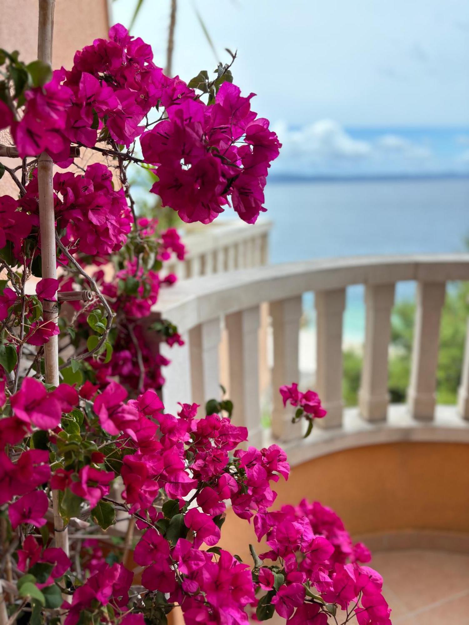Villa Spomenka Подгора Экстерьер фото