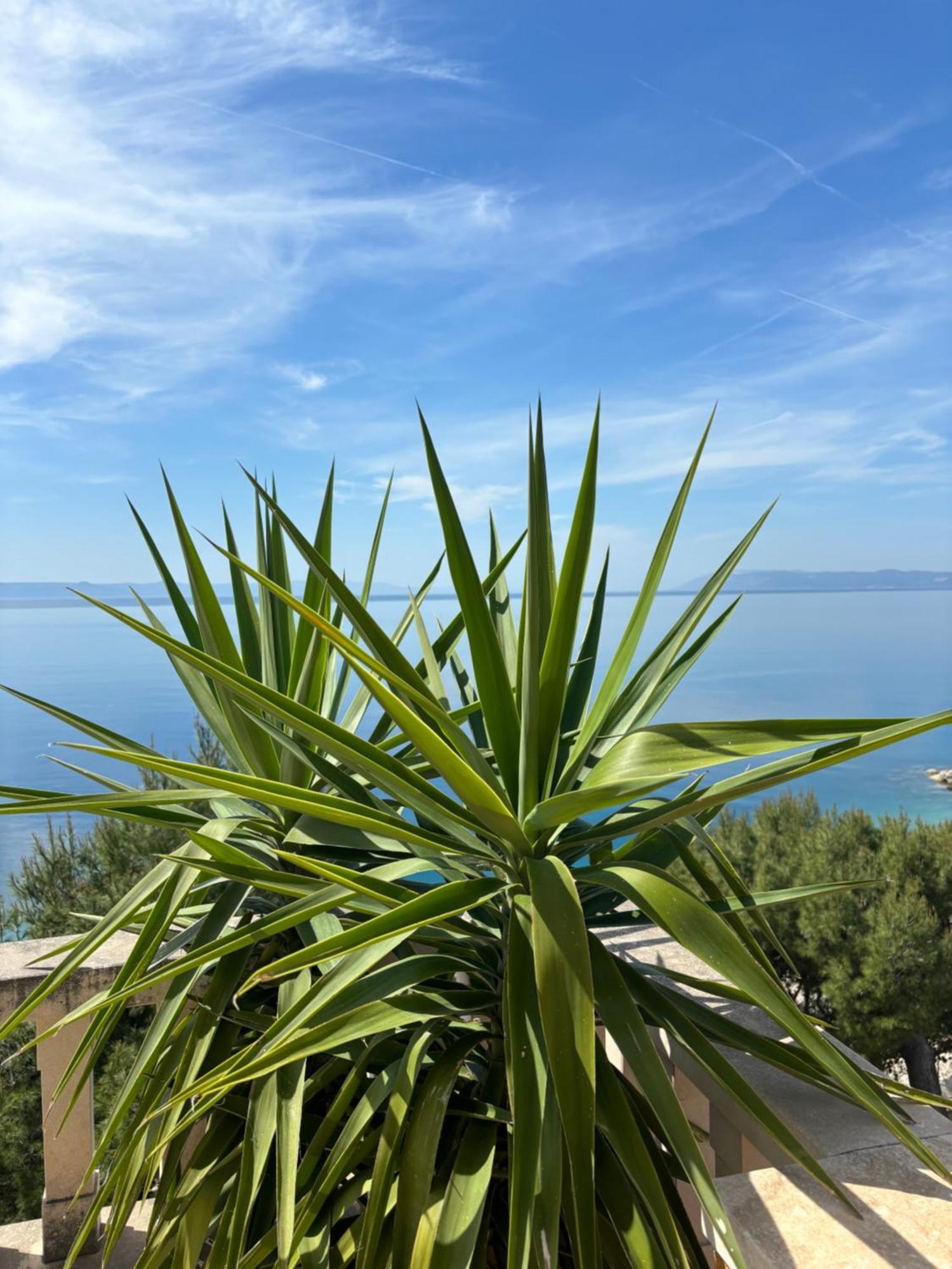 Villa Spomenka Подгора Экстерьер фото